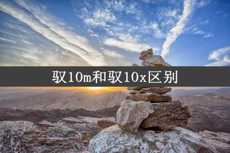 驭10m和驭10x区别