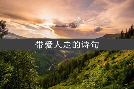 带爱人走的诗句