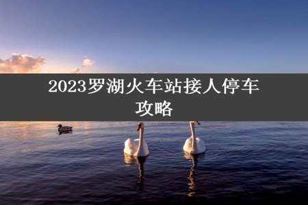 2023罗湖火车站接人停车攻略