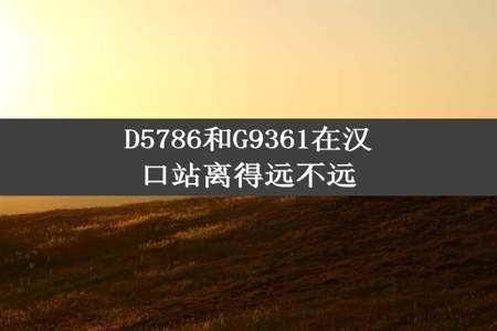 D5786和G9361在汉口站离得远不远