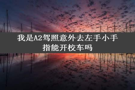 我是A2驾照意外去左手小手指能开校车吗