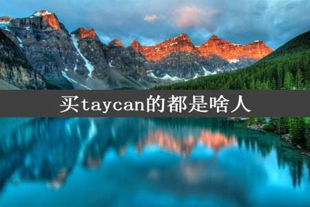 买taycan的都是啥人