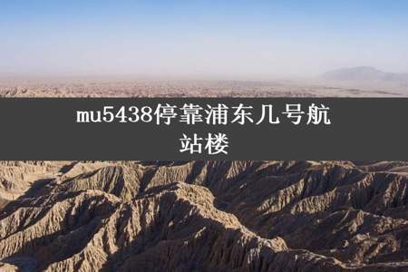 mu5438停靠浦东几号航站楼