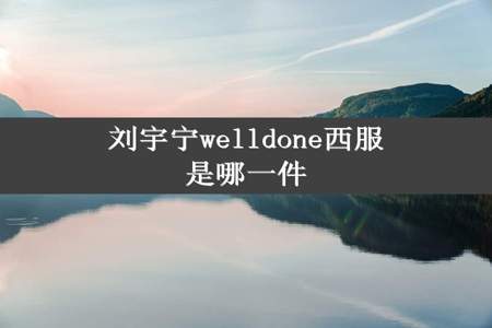 刘宇宁welldone西服是哪一件