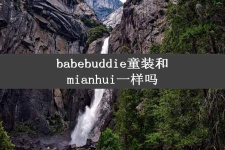 babebuddie童装和mianhui一样吗