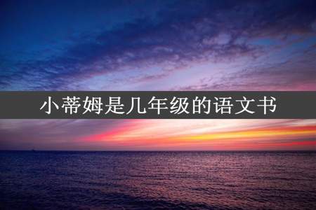 小蒂姆是几年级的语文书