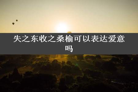 失之东收之桑榆可以表达爱意吗