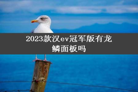 2023款汉ev冠军版有龙鳞面板吗