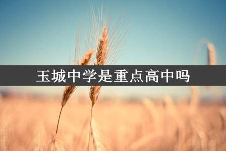 玉城中学是重点高中吗