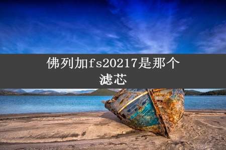 佛列加fs20217是那个滤芯