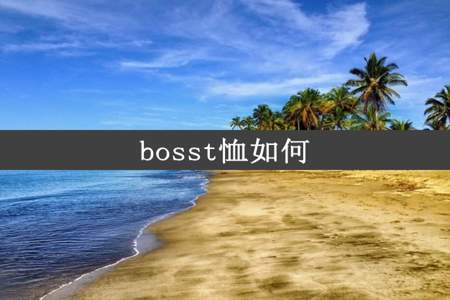 bosst恤如何