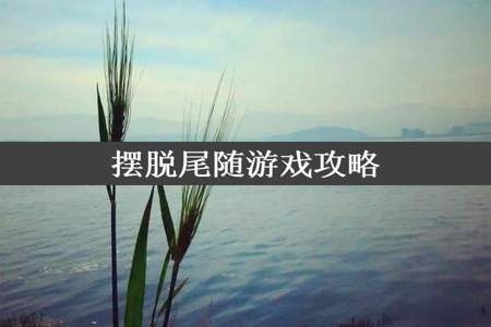 摆脱尾随游戏攻略