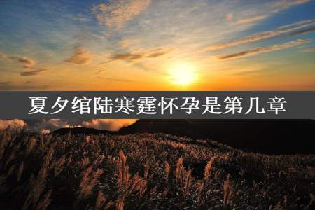 夏夕绾陆寒霆怀孕是第几章