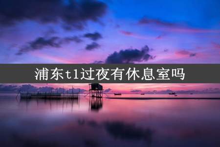 浦东t1过夜有休息室吗