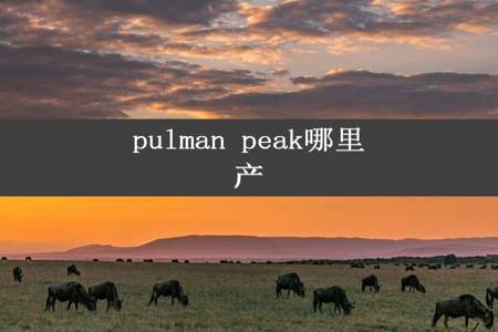 pulman peak哪里产