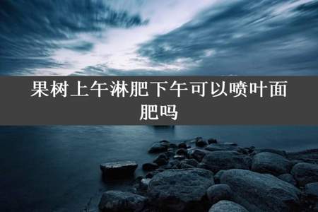 果树上午淋肥下午可以喷叶面肥吗