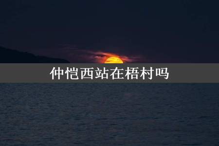 仲恺西站在梧村吗