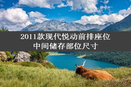 2011款现代悦动前排座位中间储存部位尺寸