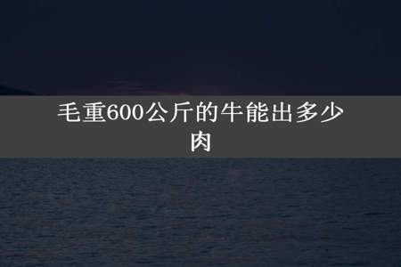 毛重600公斤的牛能出多少肉