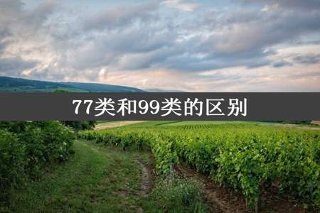 77类和99类的区别