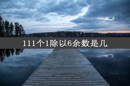 111个1除以6余数是几