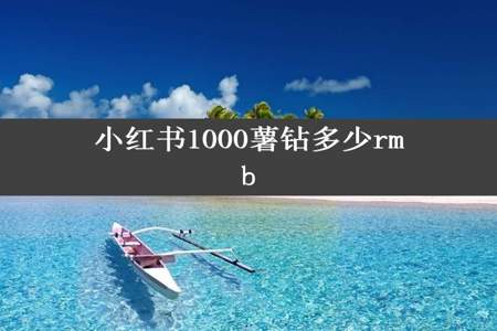 小红书1000薯钻多少rmb