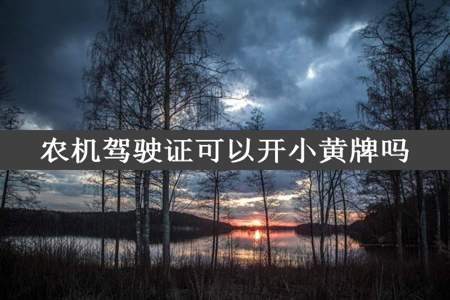 农机驾驶证可以开小黄牌吗