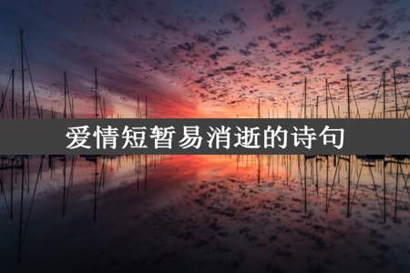 爱情短暂易消逝的诗句