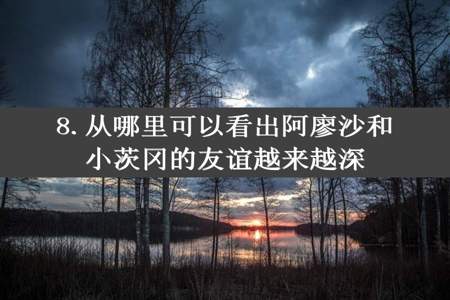 8.从哪里可以看出阿廖沙和小茨冈的友谊越来越深