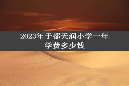 2023年于都天润小学一年学费多少钱