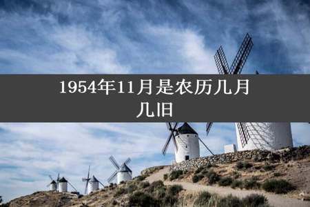 1954年11月是农历几月几旧