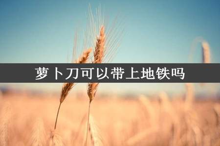 萝卜刀可以带上地铁吗