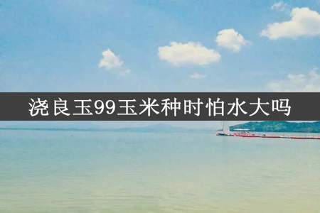 浇良玉99玉米种时怕水大吗