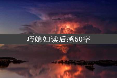 巧媳妇读后感50字