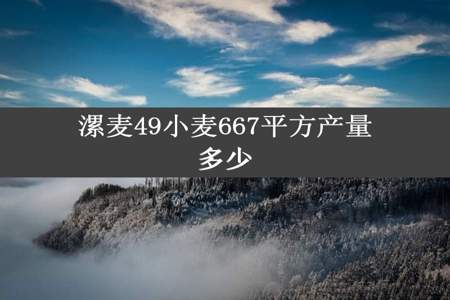 漯麦49小麦667平方产量多少