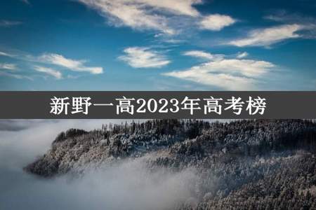 新野一高2023年高考榜