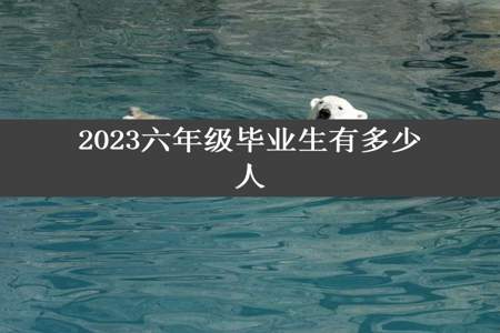 2023六年级毕业生有多少人