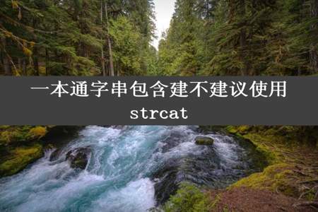 一本通字串包含建不建议使用strcat