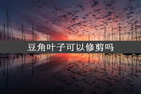 豆角叶子可以修剪吗