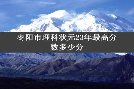 枣阳市理科状元23年最高分数多少分