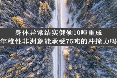 身体异常结实健硕10吨重成年雄性非洲象能承受75吨的冲撞力吗