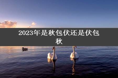 2023年是秋包伏还是伏包秋