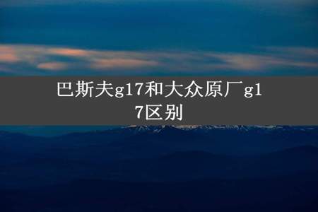 巴斯夫g17和大众原厂g17区别