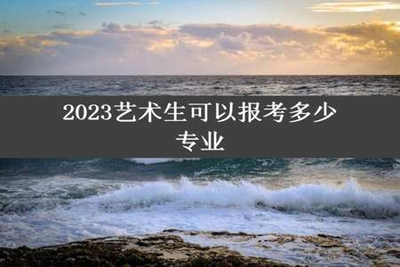 2023艺术生可以报考多少专业