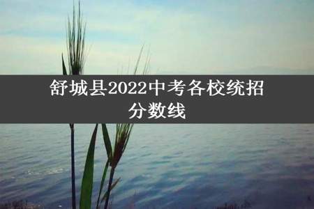 舒城县2022中考各校统招分数线