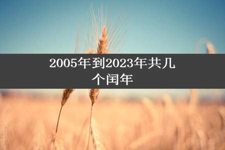 2005年到2023年共几个闰年