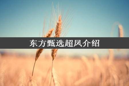 东方甄选超凤介绍