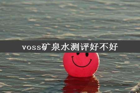 voss矿泉水测评好不好