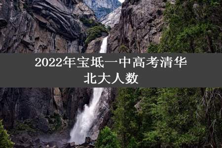 2022年宝坻一中高考清华北大人数