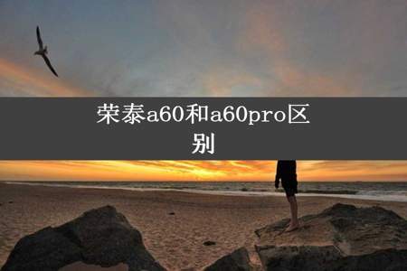 荣泰a60和a60pro区别